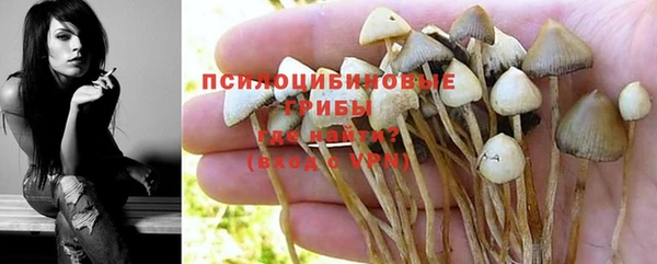 мдпв Арсеньев