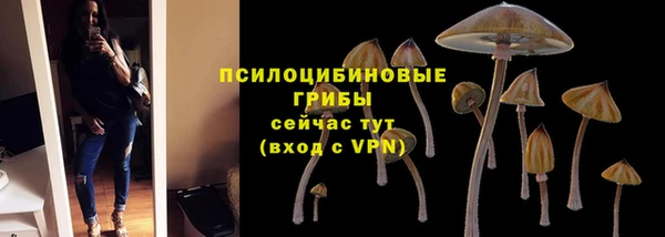 мдпв Арсеньев
